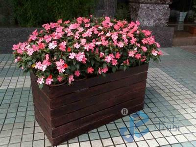 ����ϵ��