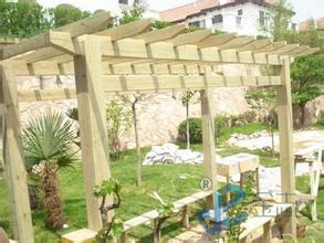 ���Ѽ�ϵ��